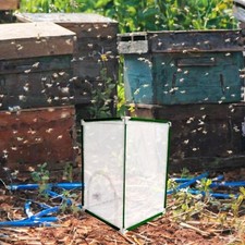 Schmetterling Lebensraum