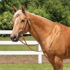 Billy Royal Harness Leather Quick Change Horse Bridle | Size Full Horse