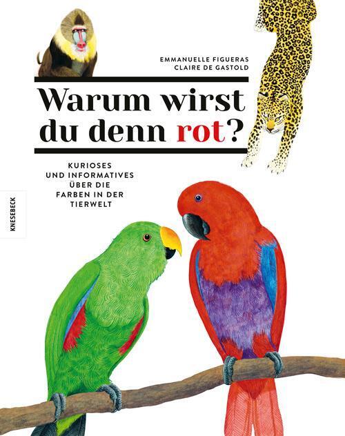 Thumbnail - Emmanuelle Figueras | Warum Wirst Du Denn Rot? | Buch | Deutsch (2021)
