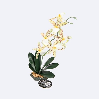 Komodo Reptiles - Artificial Spider Orchid Plant w/Gravel - Tank Ornaments