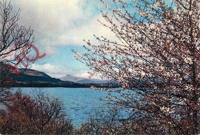 Ansichtskarte>>Menteithsee, mit Ben Lomond in der Ferne