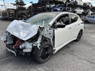 Passenger Right Center Pillar Fits 18-20 LEAF 1043618