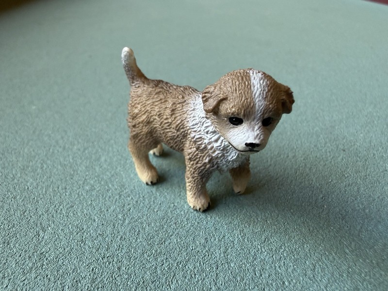 Schleich 2012 Australian Shepherd Puppy Figure Toy Pet Dog Aussie Retired 16393