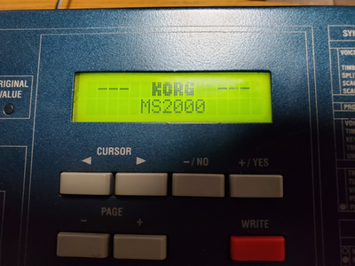 鍵盤楽器 MS2000 Korg MS2000 44-Key Analog Modeling Synthesizer for sale