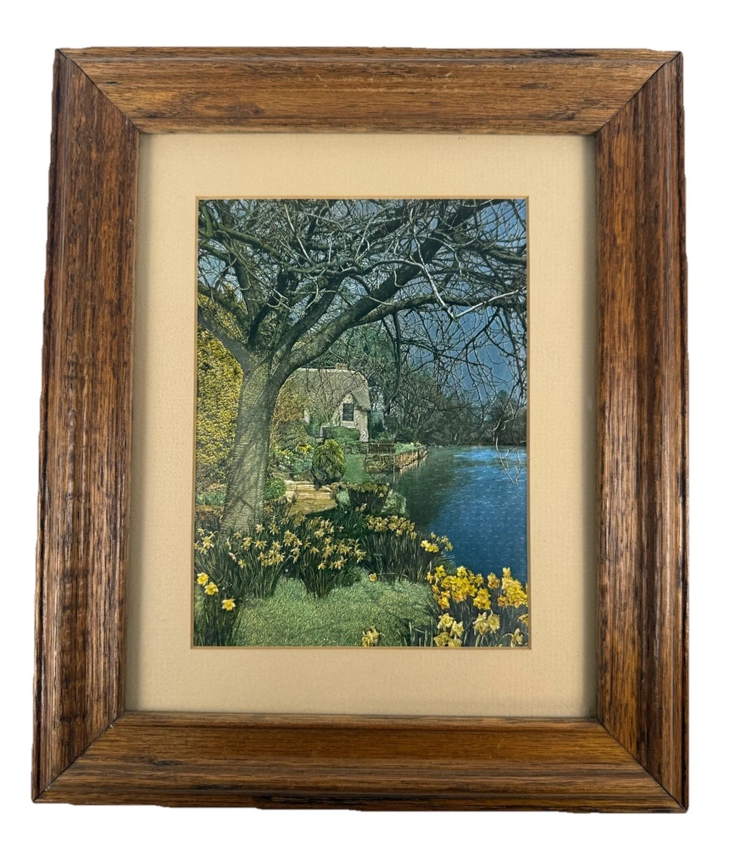 dufex foil print products for sale | eBay