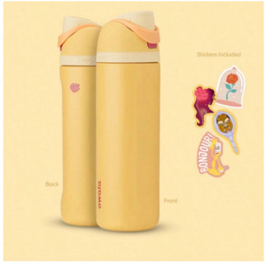 Rapunzel Owala Water Bottle | eBay