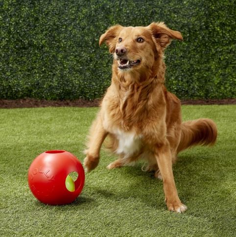 Jolly Pets Teaser Ball 10 inch Red  Hard Plastic Durable Toy for Dogs