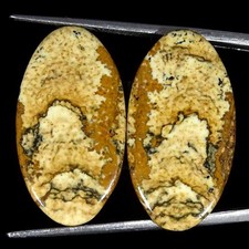 21,70 Carats Pierre Naturelle Jaspe Image Paire Cabochon Gemme Libre 14x26x3mm