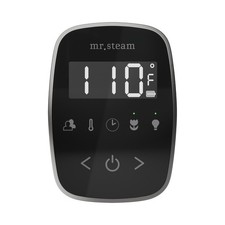 Mr Steam TF Tempoflex Steam Shower Control and Steamhead - Black / Satin Steel