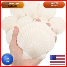 10 PCS 4-5 Inch Large Scallop Shells for Crafting