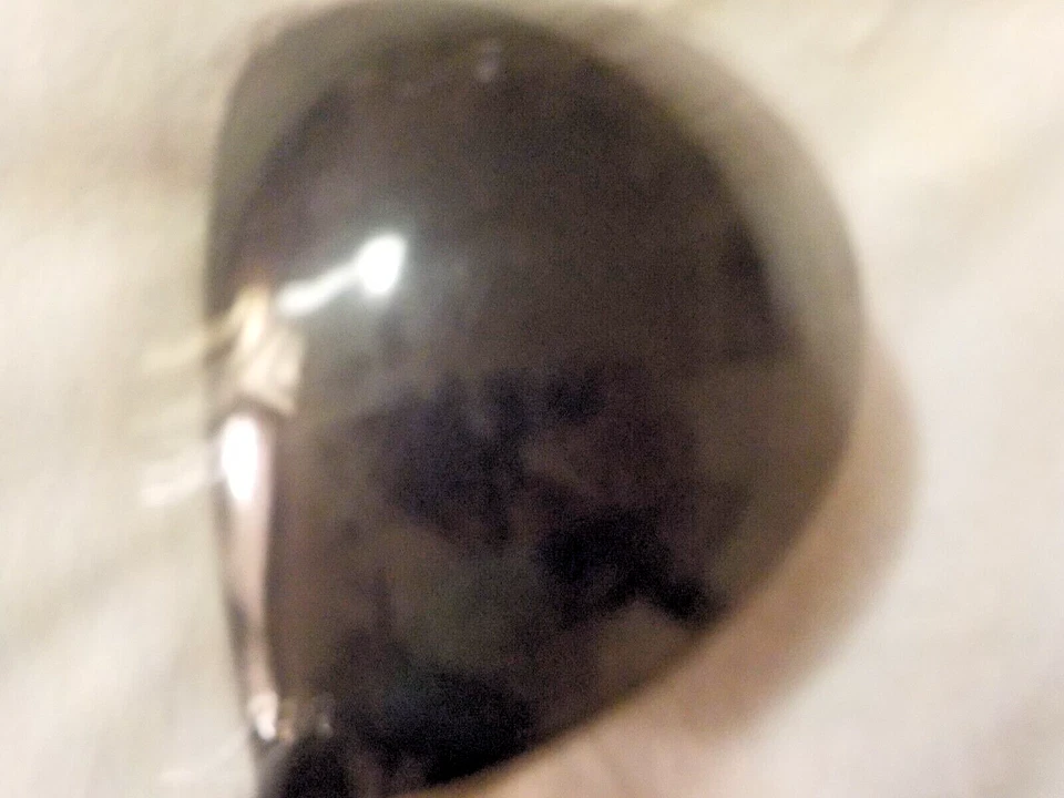 A Used Great Turbo Power II Forged Ti, 10.5 Degree Loft Driver /Graphite Shaft! - Image 3 of 4