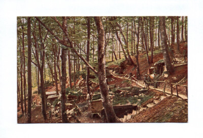 Postcard after a color photograph from the Vosges Hirzstein