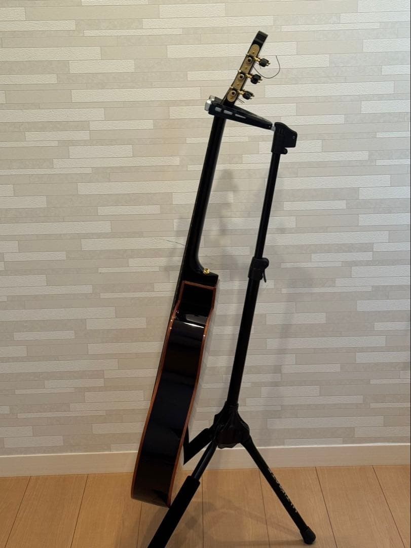 Acoustic Guitar aNueNue aNN-LN77E | eBay