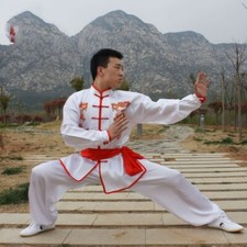Unisex Cosplay Traditional Tracksuit Chinese Tai Chi Uniforms Kung Fu Clothing