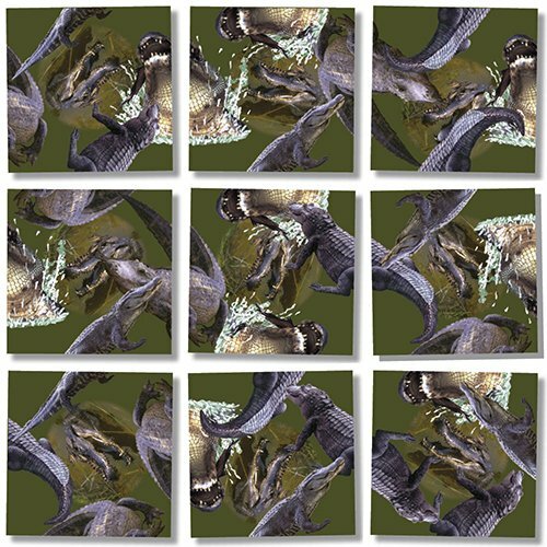 Головоломка из 9 кусочков Ослепи аллигаторов, Скремблируй квадраты