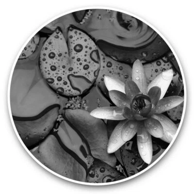 2 x Stickers Vinyle 25 cm (cw) - Rose Nénuphar Fleur Étang Zen #35056 - Photo 1/4