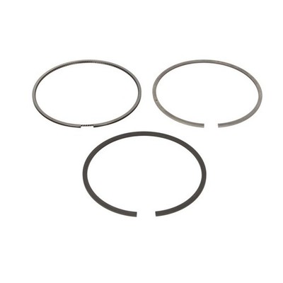   MAHLE PISTON RING KIT 016 02 N0 NEU DE STOCK