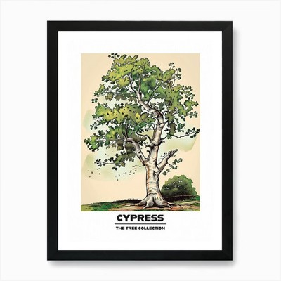 Cypress Tree Storybook Illustration Framed Wall Art Poster Canvas Print Picture
