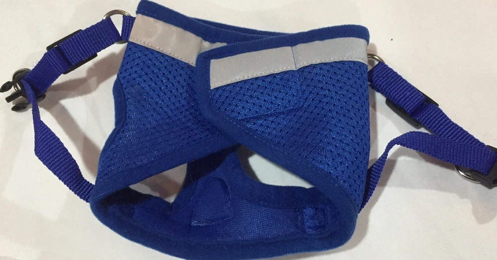 Dog Harness & Leash With Hair Comb Blue Reflective Band Size Small