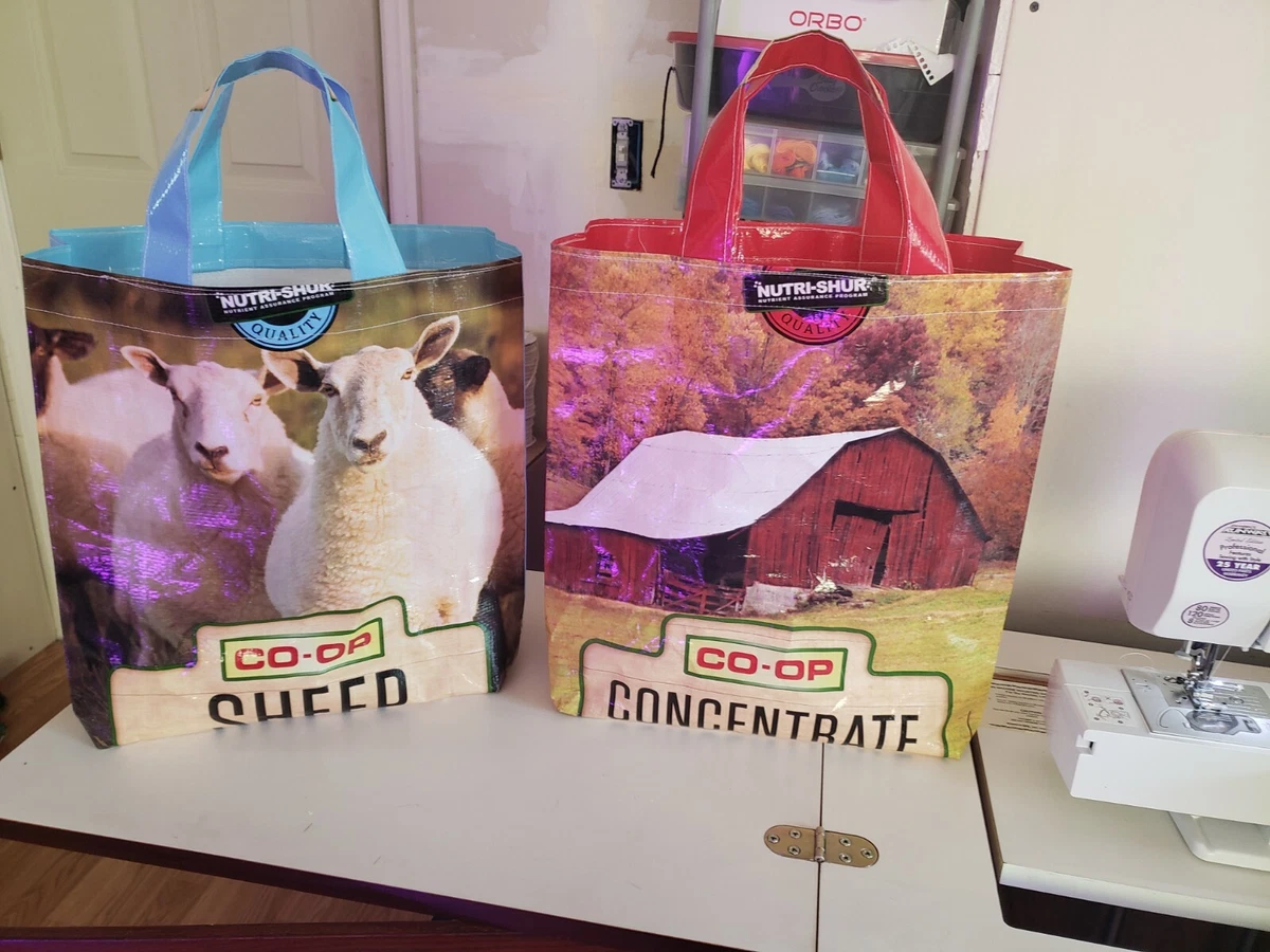 Eco Feed Bag Totes In The Moment Boutique, 60 OFF