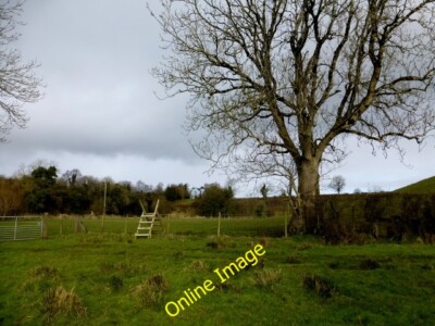 Photo 6x4 Stile and tree, Relaghdooey Blackfort Looking north-west c2014