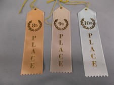 8th 9th 10th Place Ribbon Set – Flat Card & String – Novelty Awards Scrapbooking