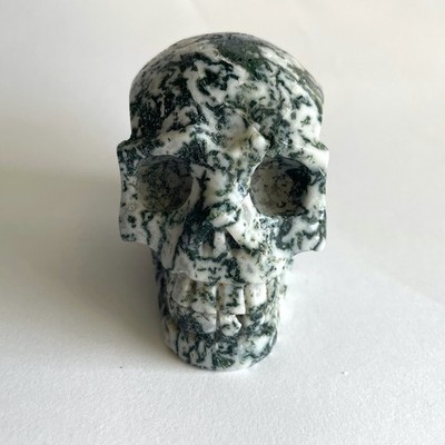 Large Natural Tree & Moss Agate Carved Quartz Skull 3.75'' 638g