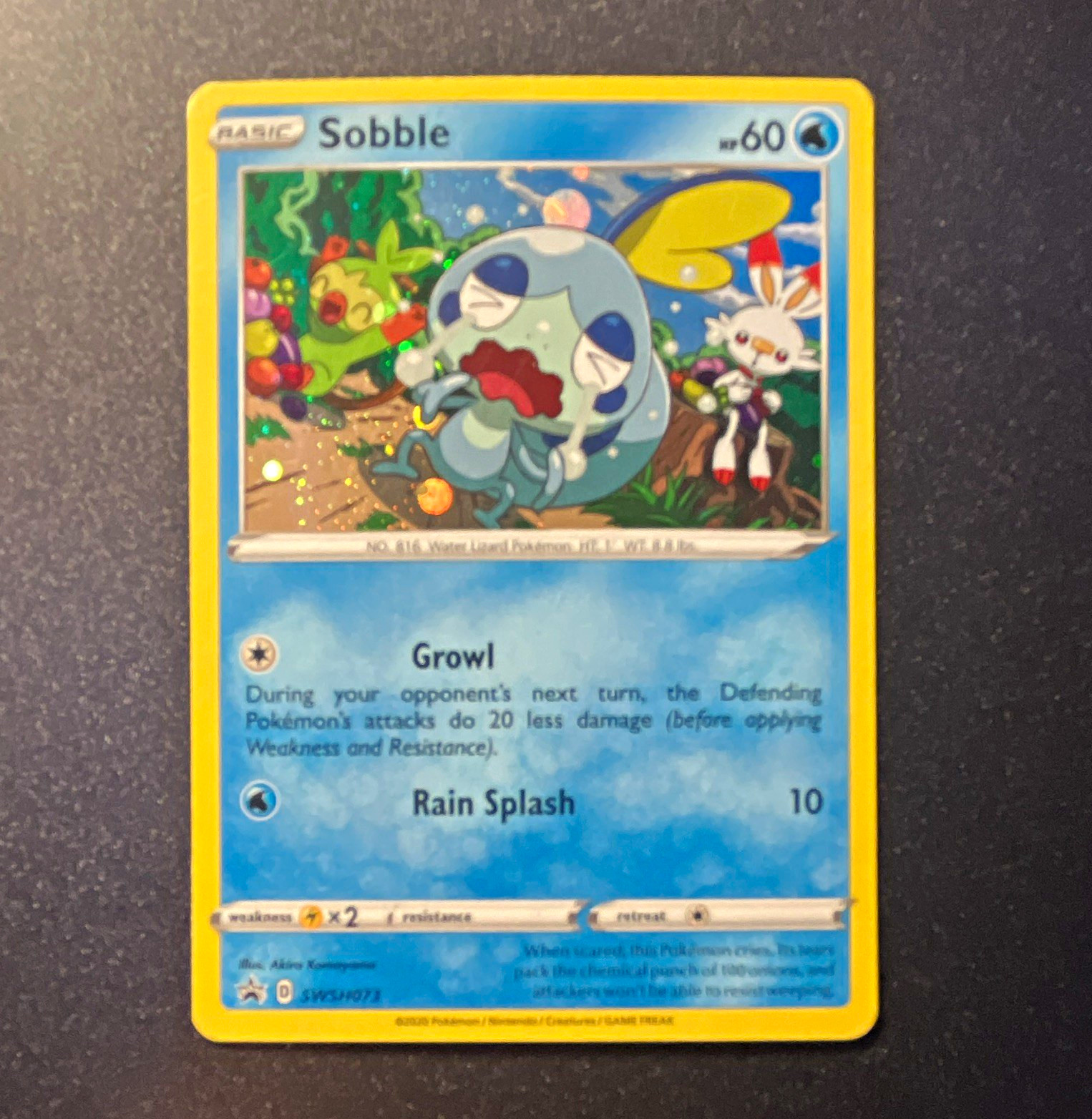 Sobble SWSH073 Sword & Shield Promo Holo Promo Basic 60HP English