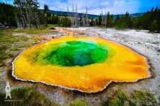 Morning Glory Pool in Yellowstone National Park, Wyoming, Photography Prints