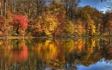 Landscape nature fall trees water Custom Gaming Mat Desk