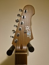 Beautiful Jet Electric Guitar