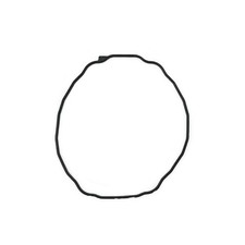 Casio O-Ring Anello di tenuta nero per PAG70-1V PAG70T PRG70 Pathfinder / ProTrek