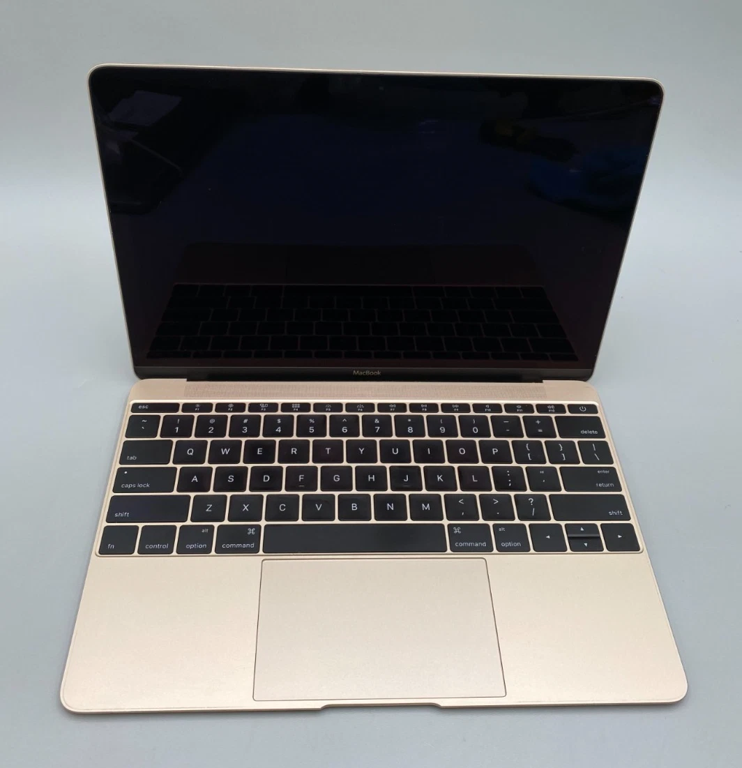 2015 Apple MacBook 12 Inch Laptops for sale | eBay