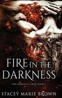 Stacey Marie Brown | Fire In The Darkness | Buch | Englisch (2014) | Gebunden