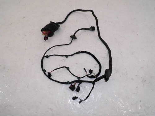 VW Phaeton 3D Türkabelbaum Tür Kabelbaum Vorne Rechts