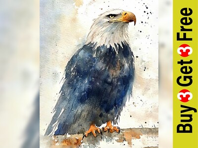 Weißkopfseeadler Majestät 5''x7'' Druck auf mattem Papier | Auffälliges Aquarell Tierwelt Kunst