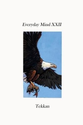 Tekkan Everyday Mind XXII (Paperback) (UK IMPORT)