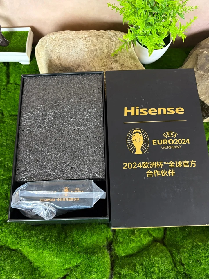 UEFA EURO Alemania 2024 Licencia Oficial Copa Trofeo Caja HISENSE Foto 4 de 4