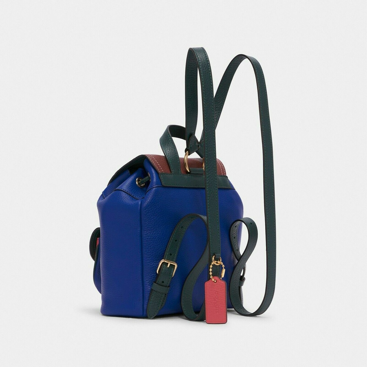 NWT Coach C6815 Pennie Backpack 22 In
Colorblock Sport Blue Multi Leather Bag NWT Coach Pennie Backpack 22 In Colorblock C6815 | eBay main image 4