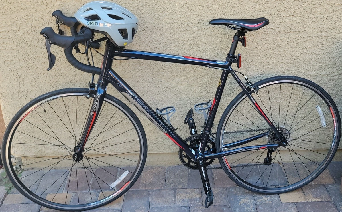 Schwinn fastback sales 2