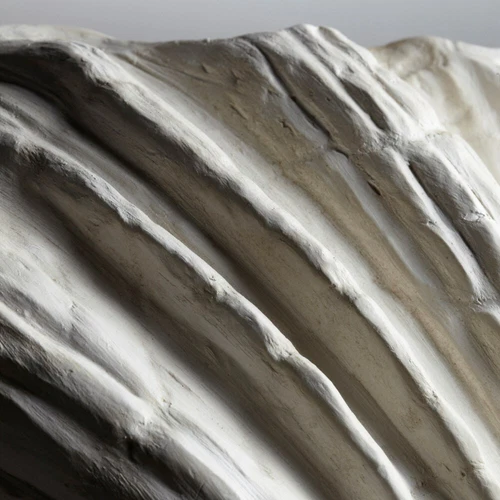 Sea Shell Light Wall Sconce Shelly Coastal Nautical Beach  ~ Cyan Design 05158 - Picture 4 of 7