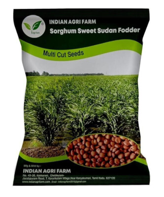Iagrifarm Sorghum Sudan Grass Fodder Seeb - 1 Kg - Multi Cut Fodder ...