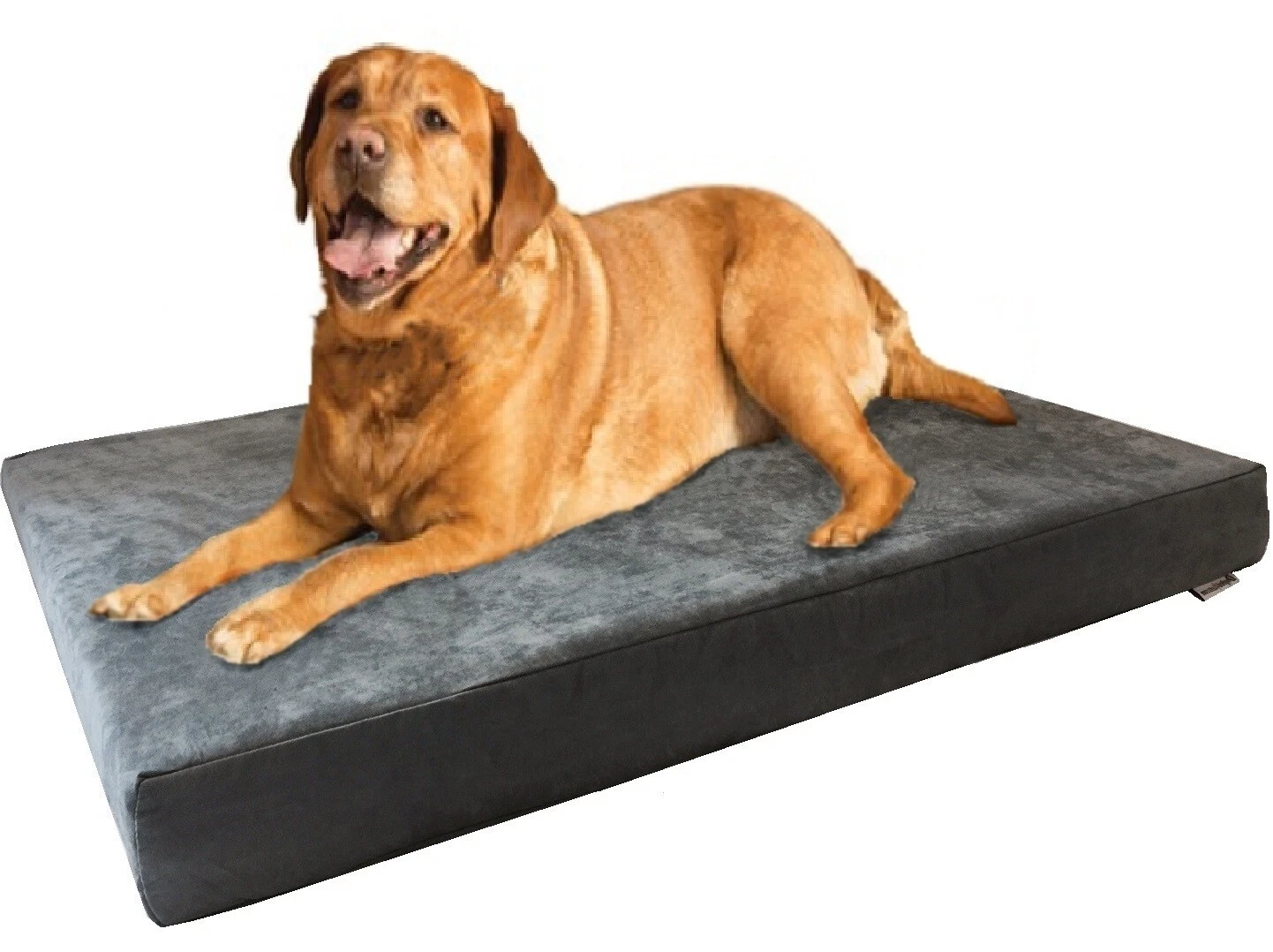 Jumbo Gray Suede Pet Dog Bed Orthopedic Waterproof Extra Large Memory Foam 55x47
Opens in a new wind