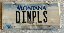 DIMPLS MONTANA VANITY LICENSE PLATE DIMPLES 2000 BIG SKY
