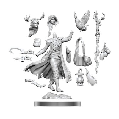 D&D Frameworks: Human Druid Female (US IMPORT)