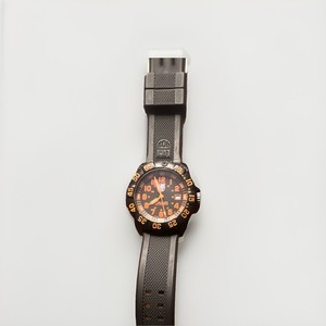 Luminox 3001 | eBay
