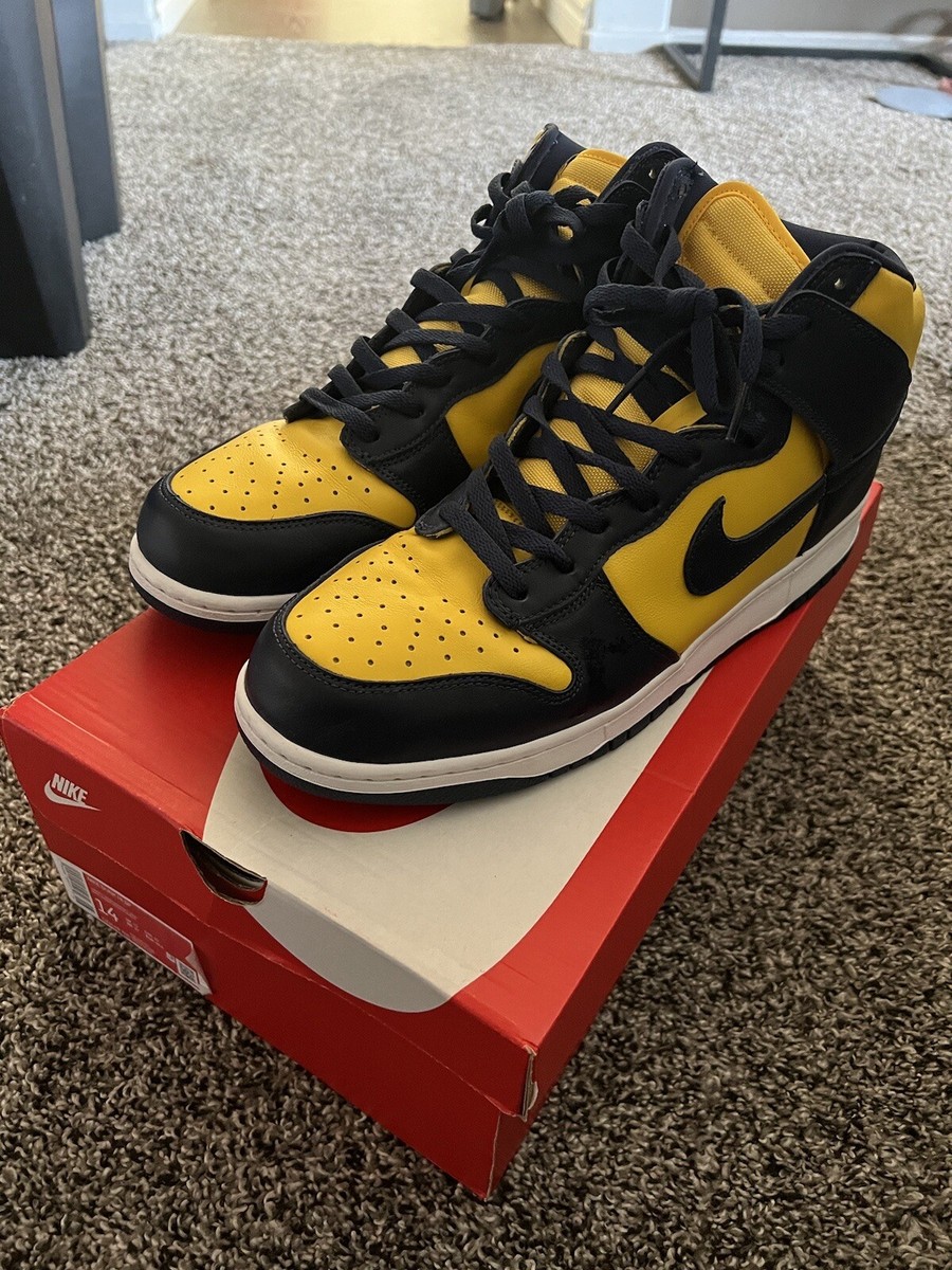 nike mens dunk high michigan