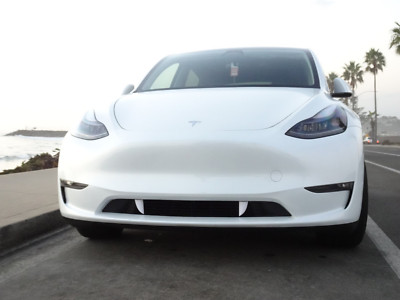 Vampire Fangs for Tesla Model Y