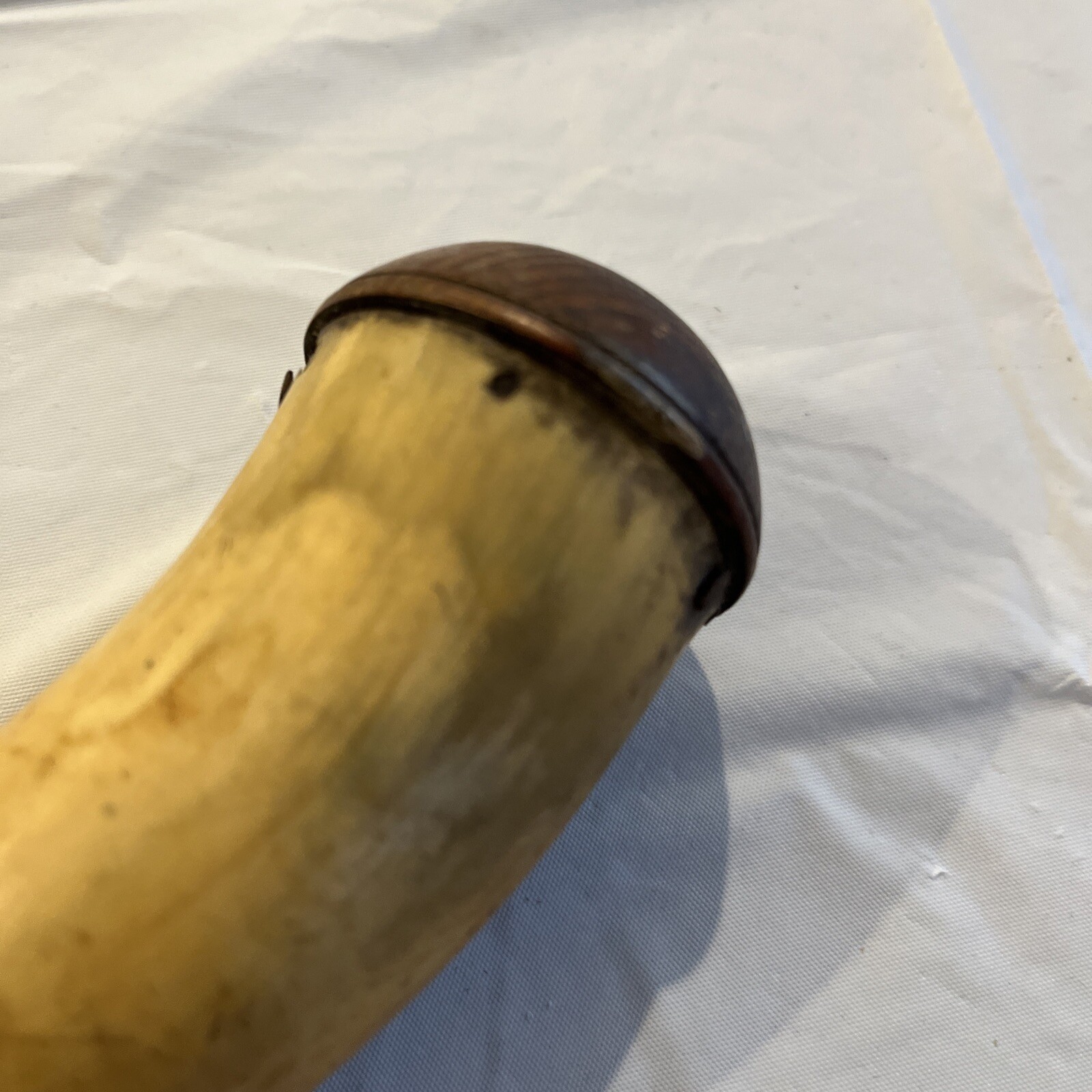 VINTAGE POWDER HORN eBay