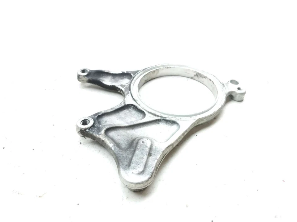 Soporte de montaje de pinza de freno trasero 15 Ducati Monster 1200 S 82530491A Foto 4 de 4